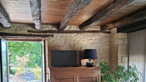 Un intérieur rustique avec un plafond en bois, un canapé, un téléviseur posé sur un meuble en bois et une plante en pot.