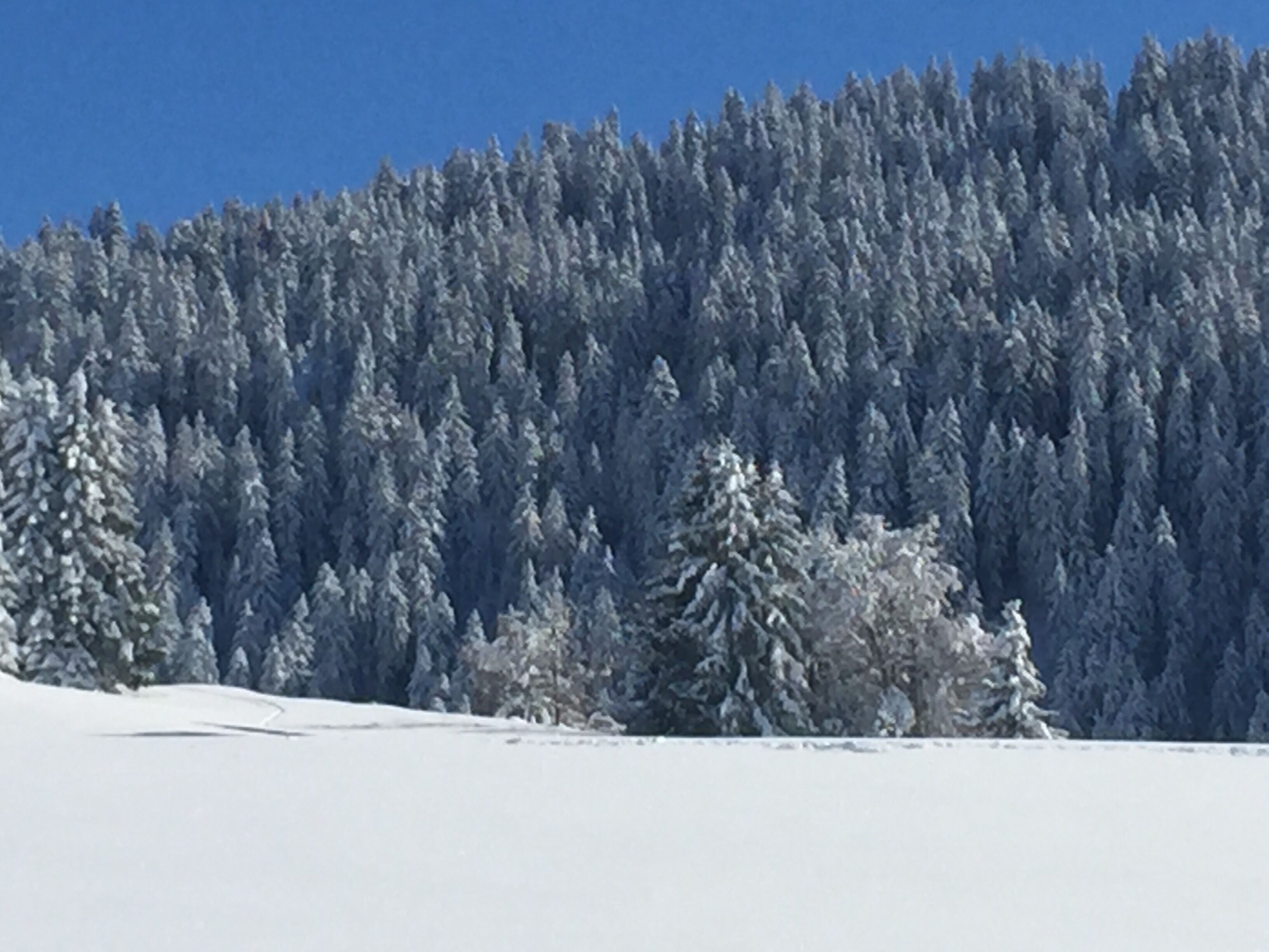 Snow and ski sports