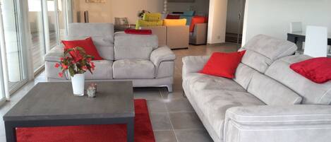 Tv, dvd-afspiller, bøger