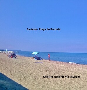 Plage, chaises longues