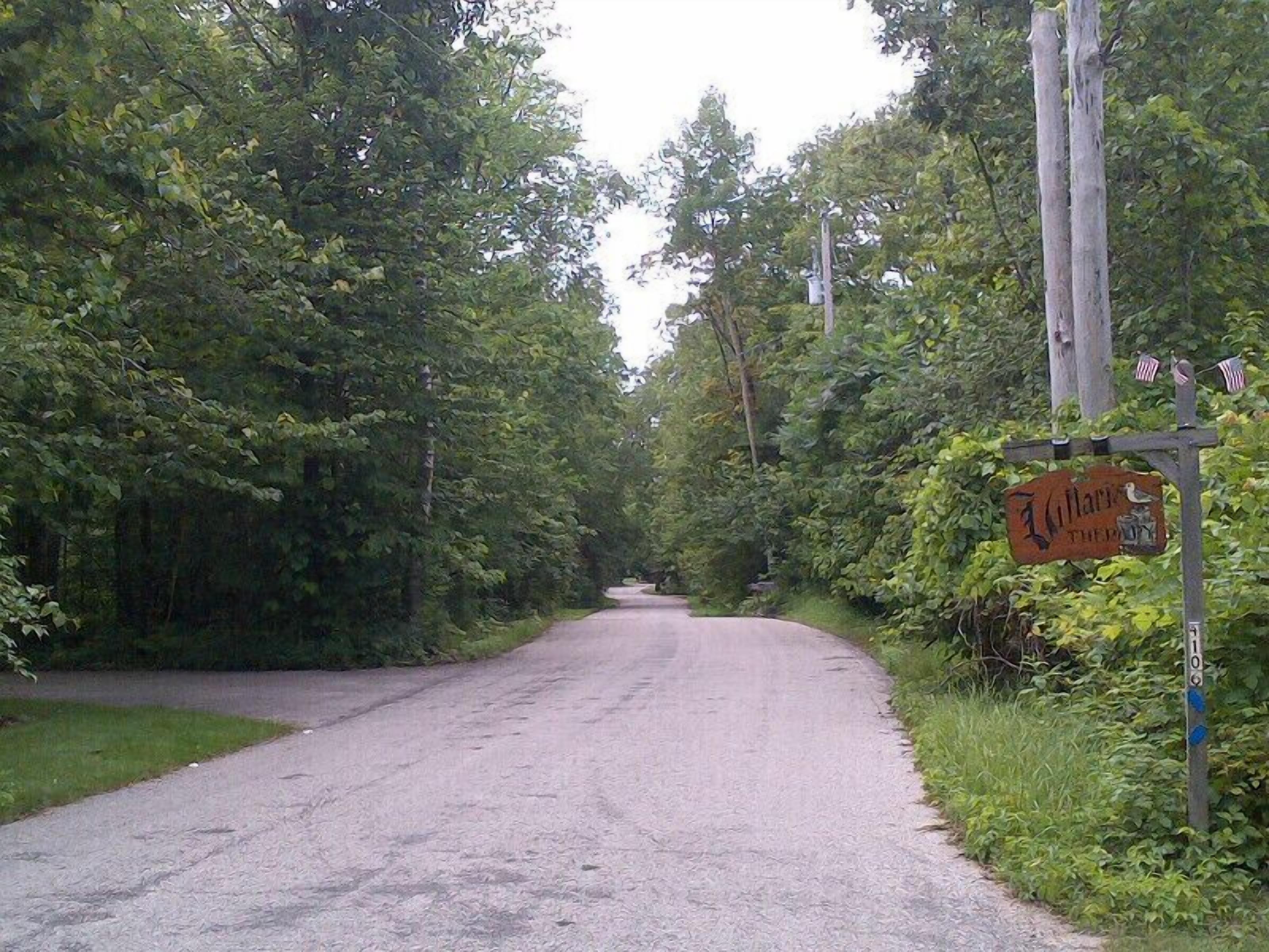 A rural road flanked by dense greenery and a wooden signpost with a name sign.
