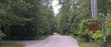 A rural road flanked by dense greenery and a wooden signpost with a name sign.
