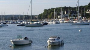 Un port de plaisance où sont amarrés de nombreux bateaux.