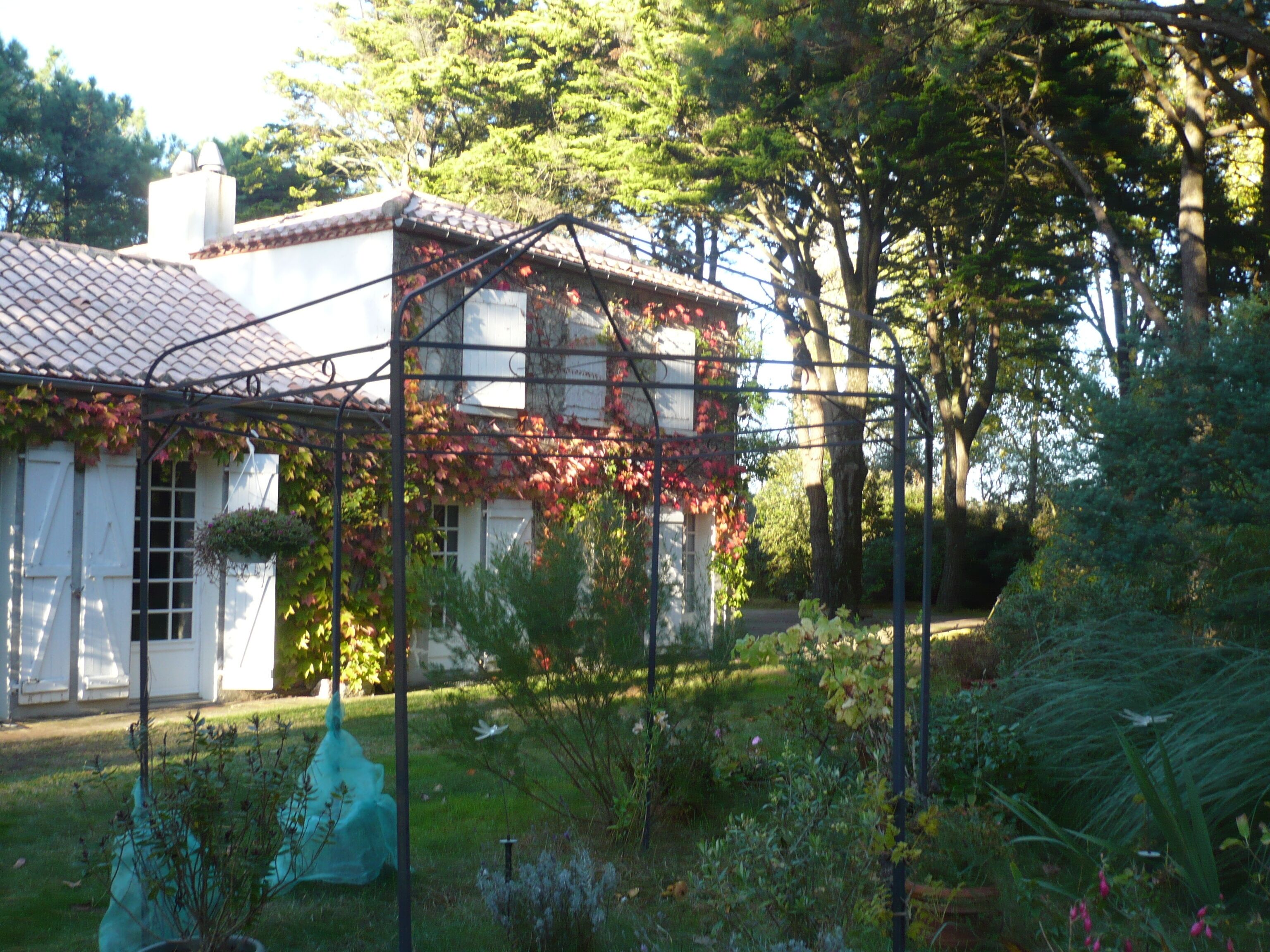 Lyarne - Quiet family cottage by the sea