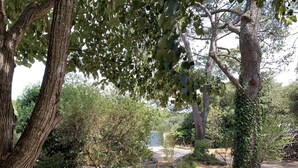 A natural outdoor area with trees and a pathway. - House garden garage 10 mn downtown (Nîmes)