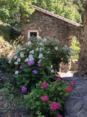 Jardines del alojamiento