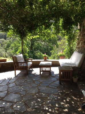 Terrace/patio - MAGNANERIE OLD IN CEVENNES (Saint-André-De-Majencoules)