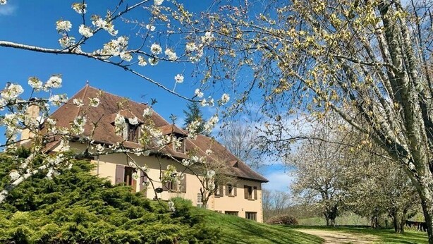 Et hus med saddeltag, omgivet af frodigt grønt og blomstrende træer.