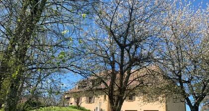 Grande maison familiale (15 personnes) avec piscine