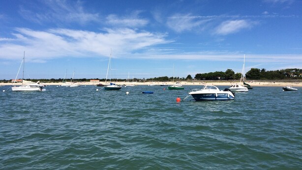 En lystbådehavn med flere både i havnen, en sandstrand i baggrunden og en klar himmel.