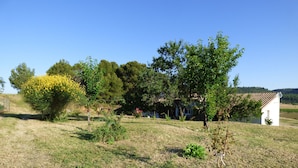 Een landelijk landschap met een wit huis, een houten schommel en een struik met gele bloemen.