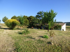 A rural landscape with a white house, a wooden swing, and a yellow flowering bush. - Villa 8 people with swimming pool, balneo, quiet in Corbières near sea (Tournissan)