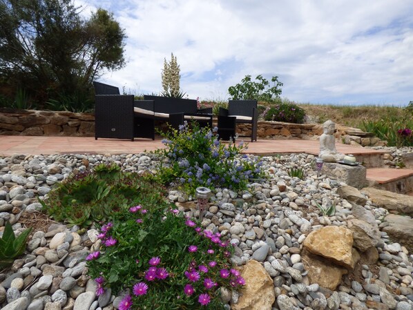 Terrace/patio - Pleasant villa in garrigue with pine forest and swimming pool (Tournissan)