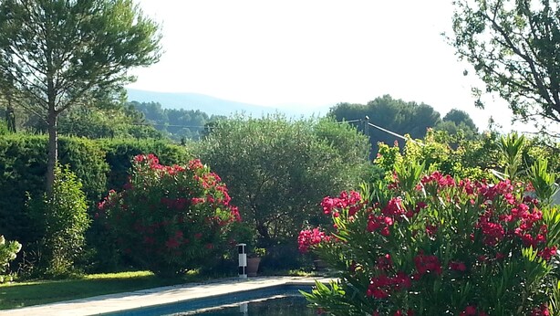 A swimming pool surrounded by lush greenery and flowering plants. - House with private pool, Luberon nature park, near Lourmarin. (Puyvert)