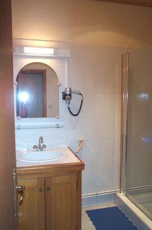 Shower, hair dryer, toilet paper