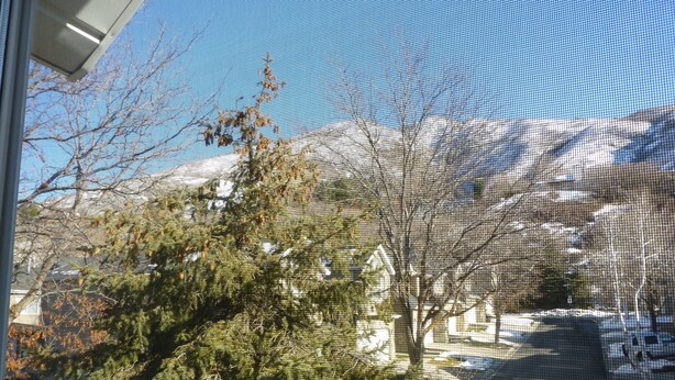 A view through a window with a mountain in the background, trees in the foreground, and a street with parked cars. - Oaks at Wasatch--call for discounted monthly off-season corporate rates (Cottonwood Heights)