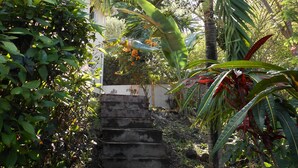 A staircase surrounded by lush greenery and a building in the background. - Exceptional panoramic view and proximity to the beach (97217 Les Anses d'Arlet)