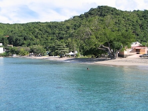 A beach with clear blue water, a person swimming, and a hill with trees in the background. - Exceptional panoramic views and proximity to the beach (97217 Les Anses d'Arlet)