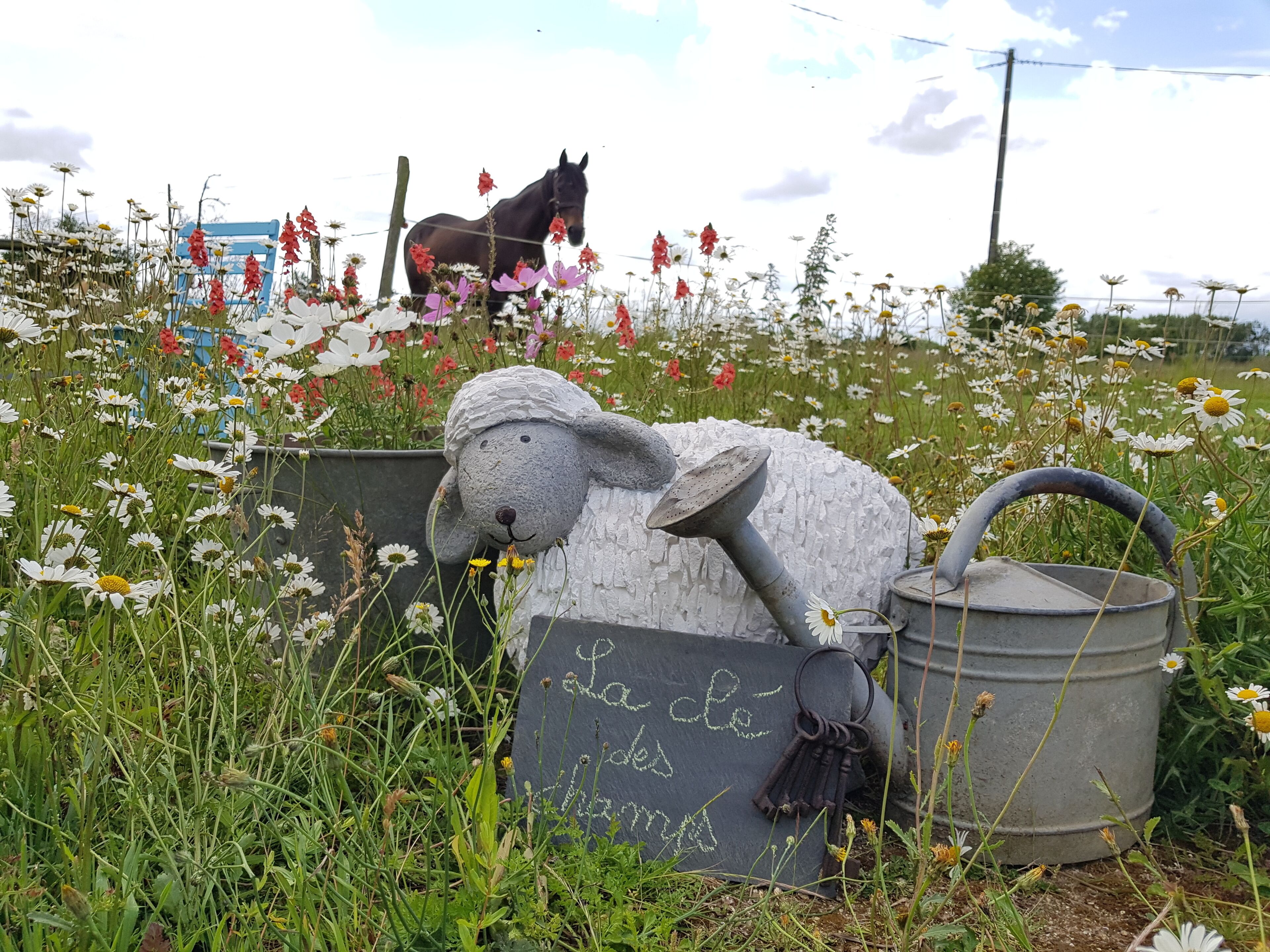 The key to the Fields 2 "near Saint Malo"