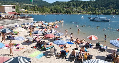 Chalet mit Blick auf den Gérardmer See