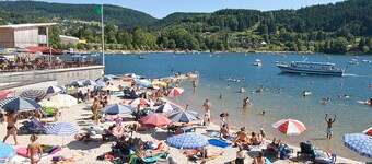 Detached chalet with panoramic view of Lac de Gérardmer, WIFI, Sauna