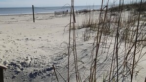 Una spiaggia sabbiosa con poca vegetazione e cielo sereno.