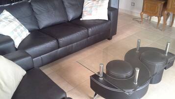 Télévision, cheminée, lecteur de DVD, chaîne hi-fi