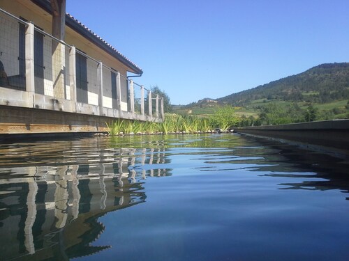 Maison des Lévriers equipped with a natural pool in the heart of Cathar Region