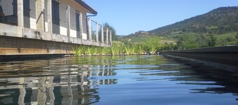 Maison des Lévriers equipped with a natural pool in the heart of Cathar Region