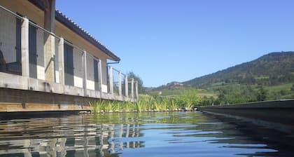 Maison des Lévriers equipped with a natural pool in the heart of Cathar Region