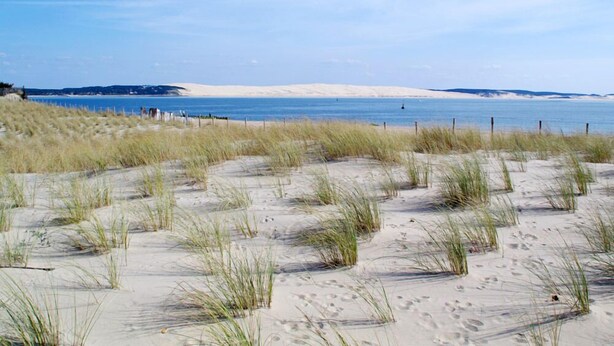 A beach with sand dunes and a clear blue sky. - Peace, Beaches and Cycling on the Bay of Arcachon - Arès Cap Ferret  (Arès)