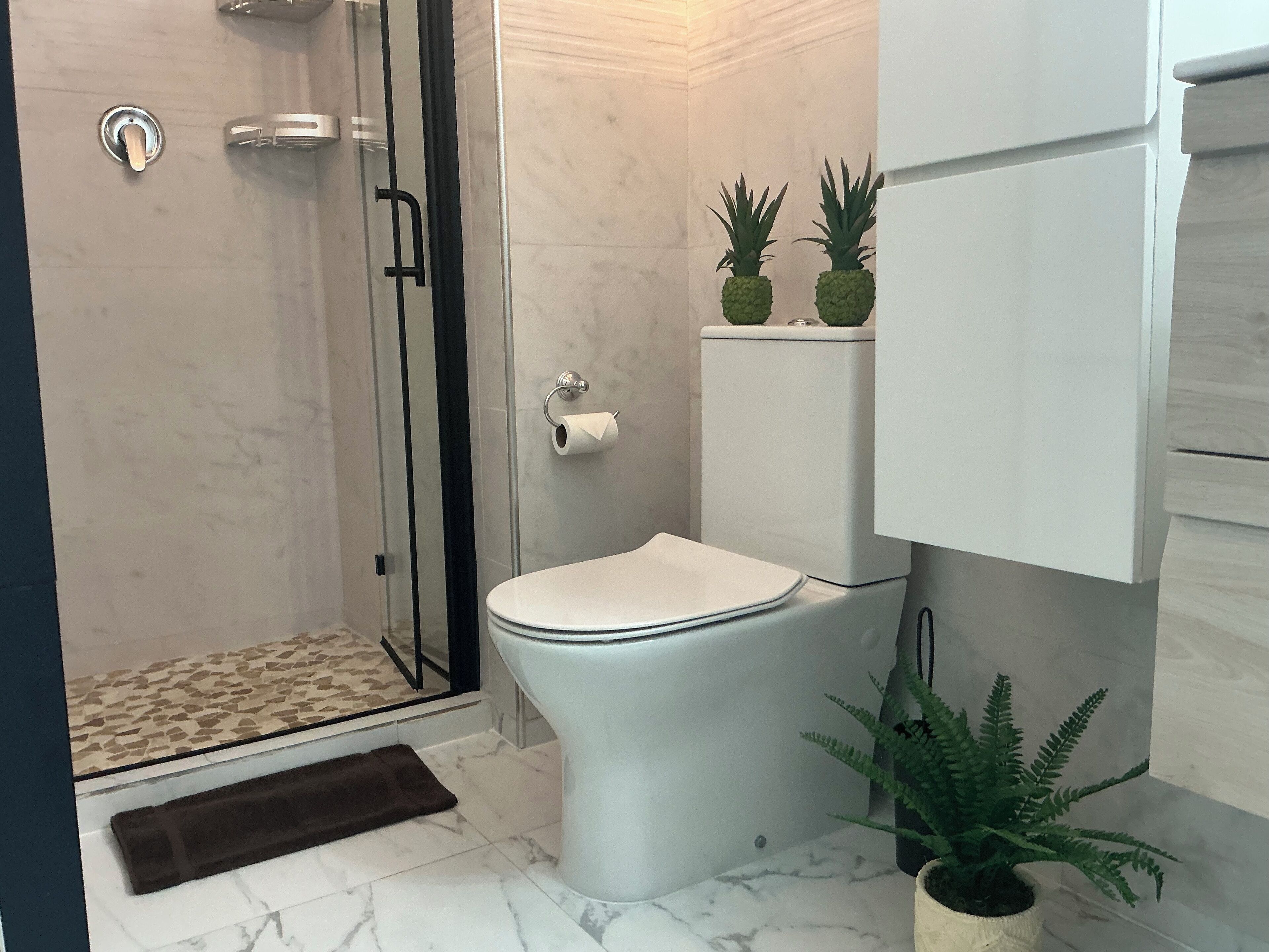 Un baño con cabina de ducha de vidrio, inodoro y un pequeño estante con dos plantas en macetas.