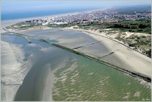 Nära stranden