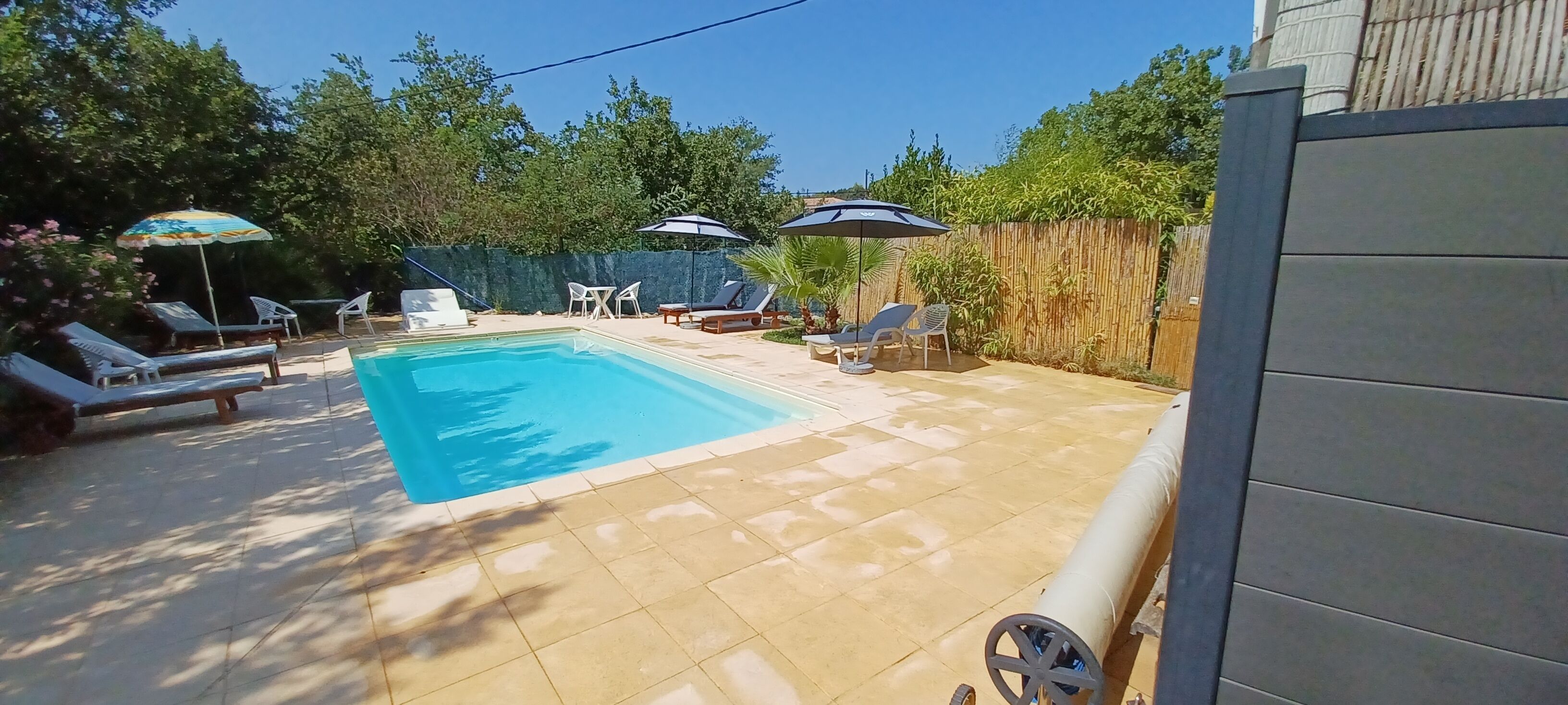 A backyard with a swimming pool, lounge chairs, and umbrellas.