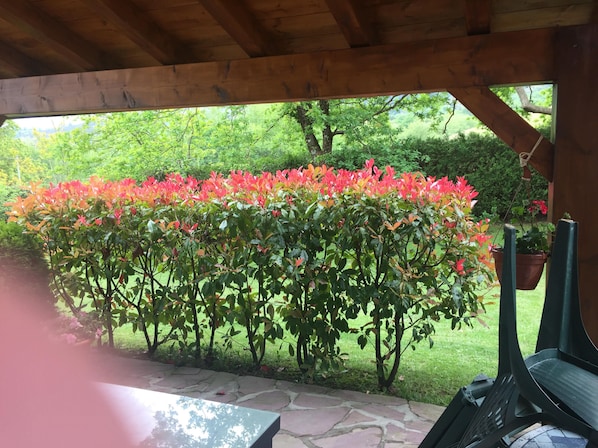 Un patio couvert doté d’un sol en pierre, d’un plafond en bois et offrant une vue sur un jardin luxuriant parsemé d’arbustes en fleurs.