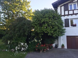 Une maison avec un jardin, un grand arbre et des plantes en pot.