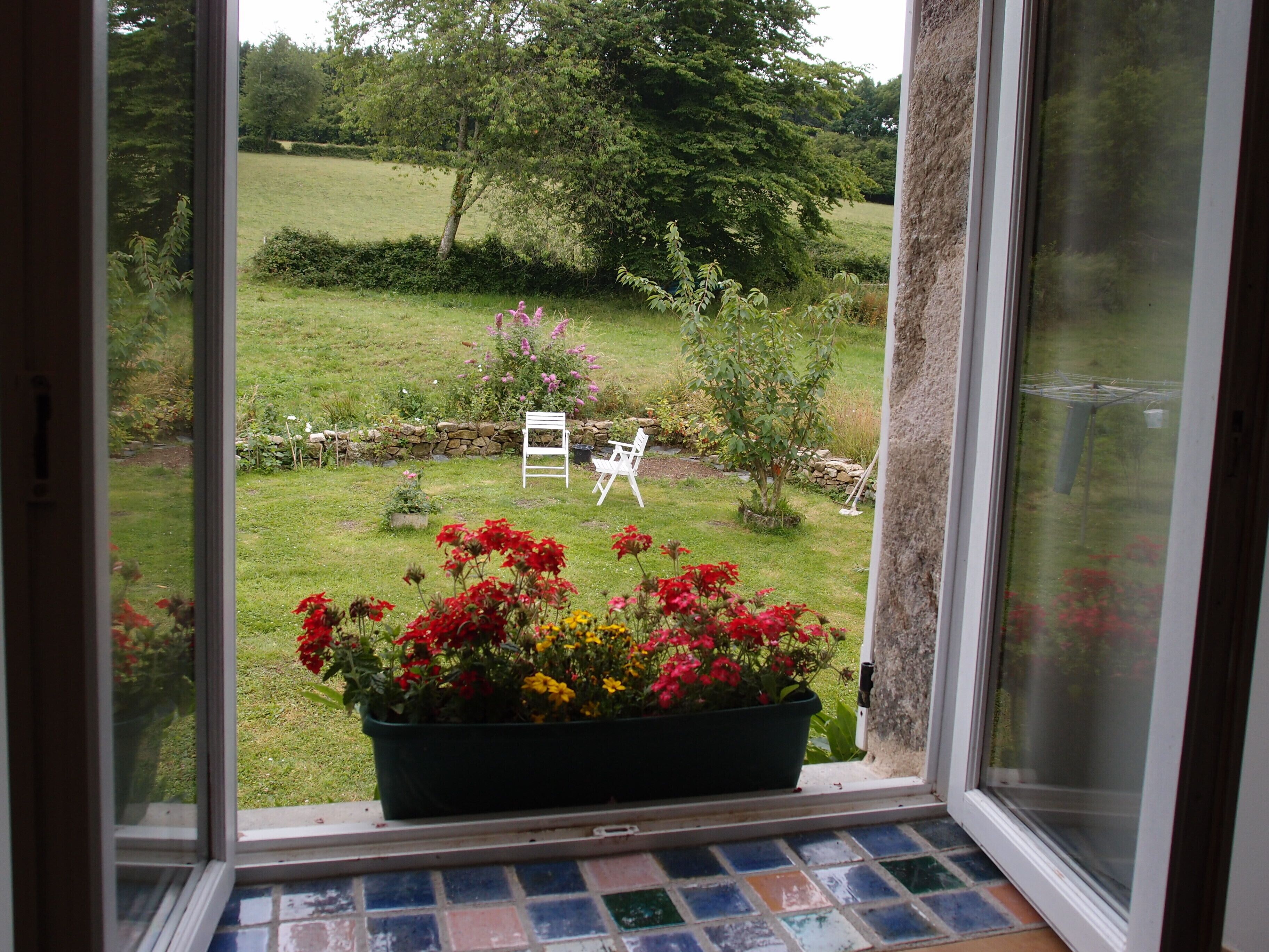 Vue sur le jardin depuis le salon