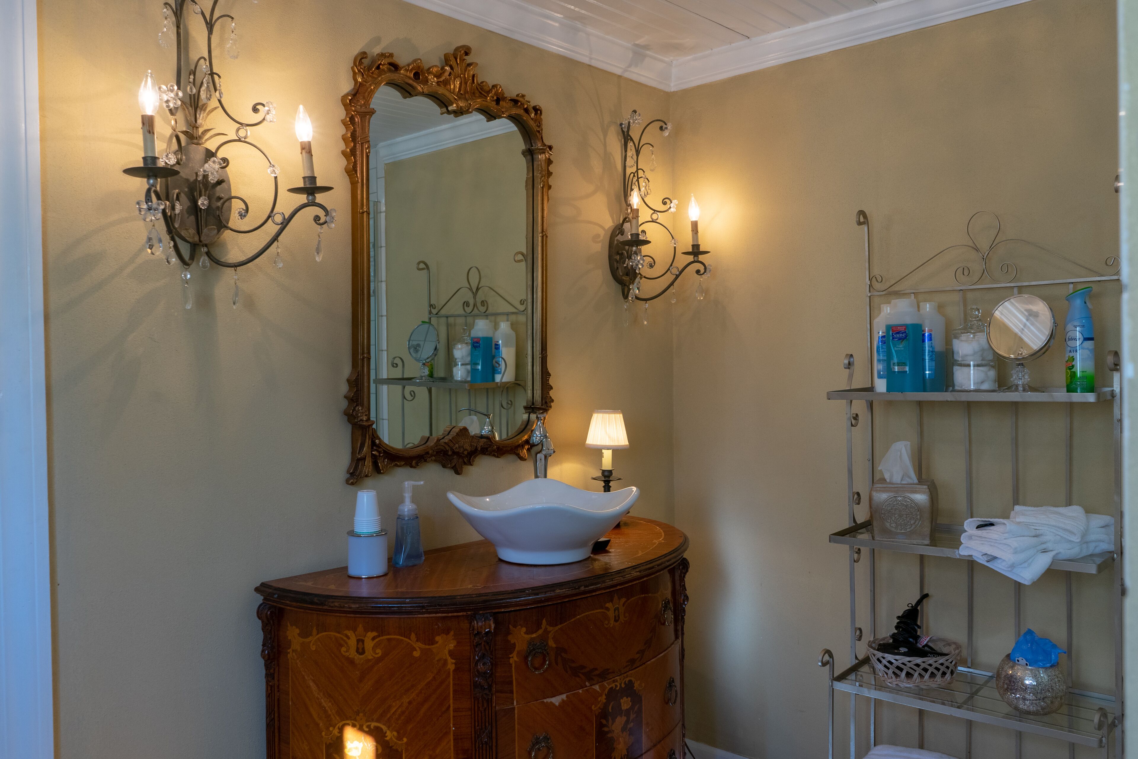 Luxurious Suite w/Garden on Court Square Downtown