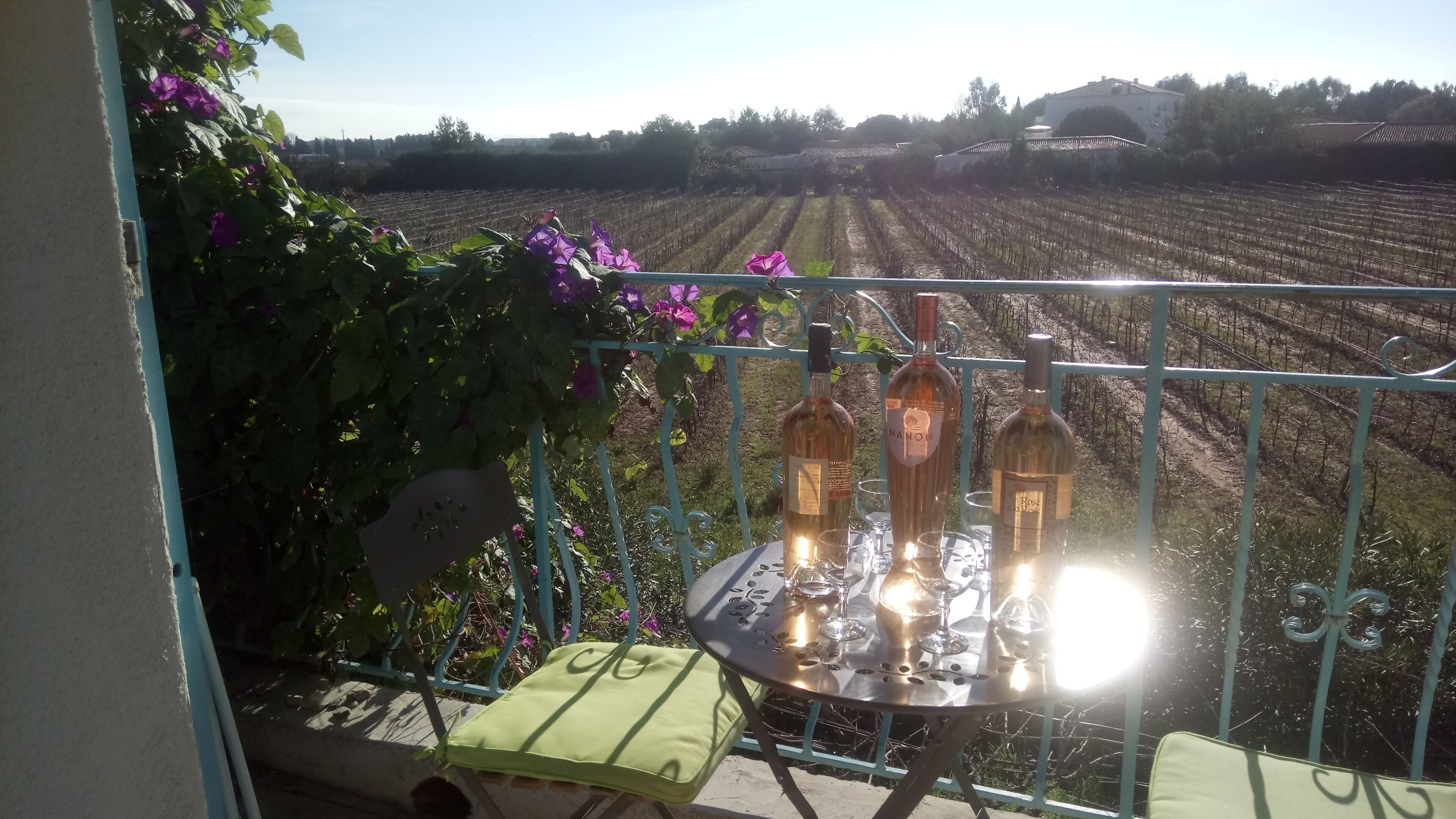 cheers !!!  welcome Rosé