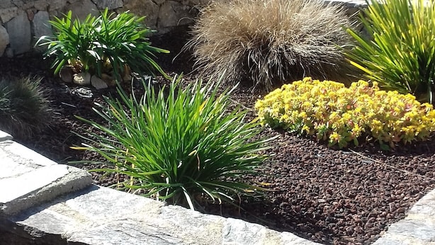 A garden with various plants and a stone retaining wall. - Ground floor villa flat in Monticello (Monticello)