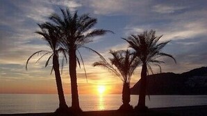 A sunset over a calm sea with two palm trees silhouetted against the sky. - Villa with a stunning sea view, located by the poolside and close to the beach (La Herradura)
