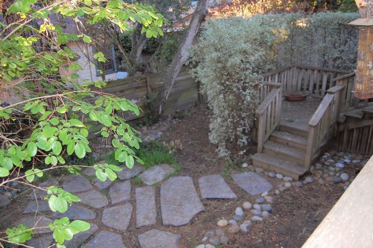 Photo 22