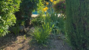 A garden with various plants and a tall coniferous tree. - Mimet <season 1/5 to 30/9 >week 630€ or 90€/nuit (Mimet)