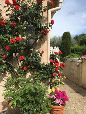 Exterior detail - Mimet <season 1/5 to 30/9 >week 630€ or 90€/nuit (Mimet)