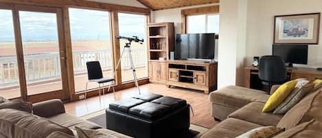 TV