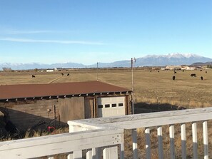 Property grounds - Manassa CO- Hunting and Fishing-Newly Remodeled (La Jara)