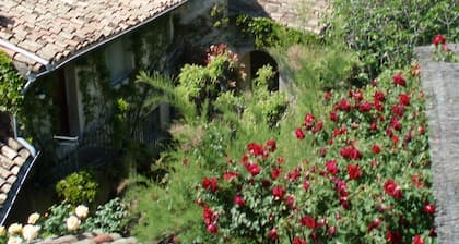 Au coeur du village : 3 petites maisons indépendantes, avec jardin et parking