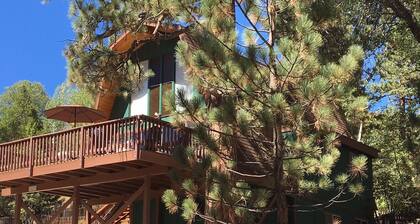 Forest getaway in Fawnskin, the quiet side of Big Bear