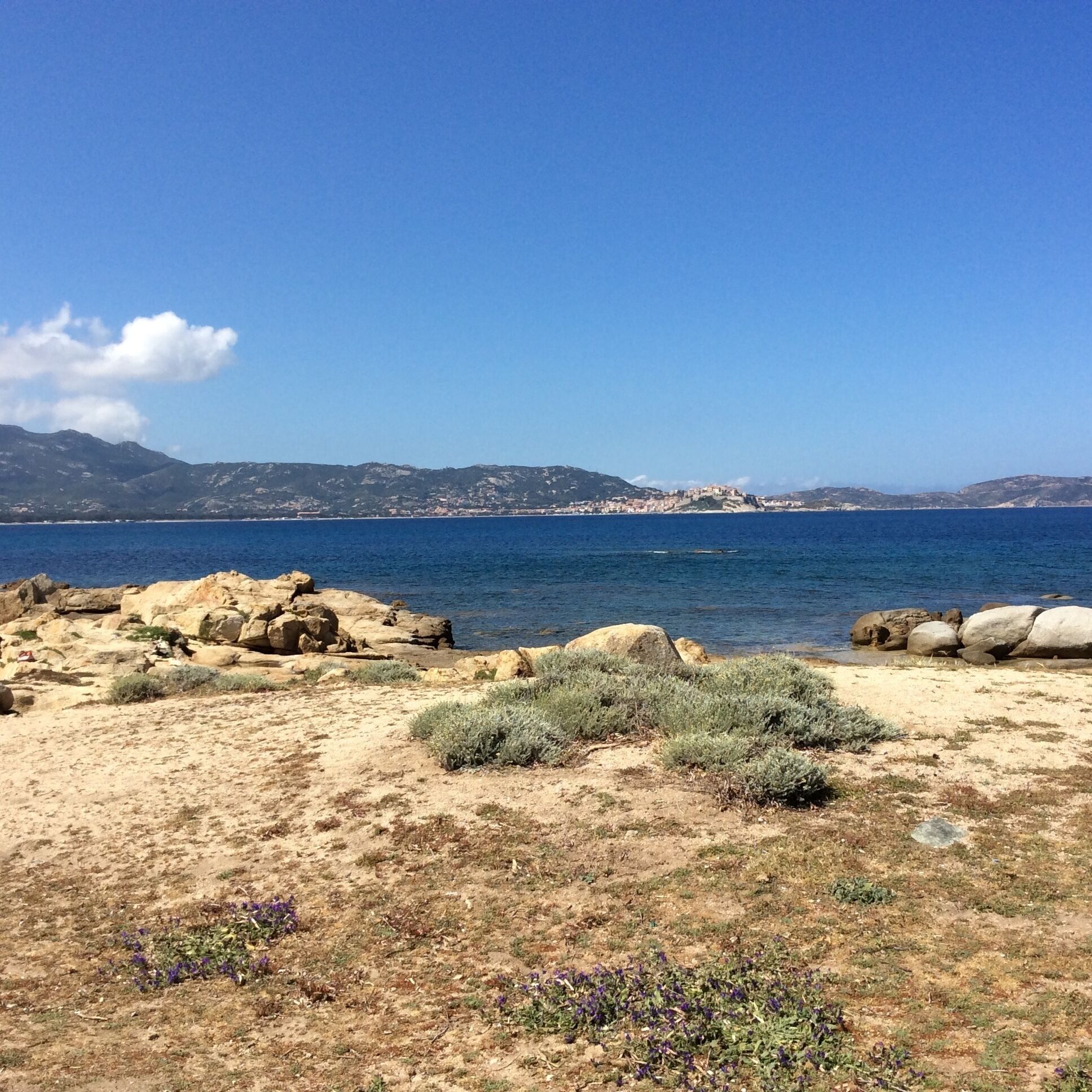 A coastal landscape with rocky terrain, sparse vegetation, and a distant view of a town across the water.