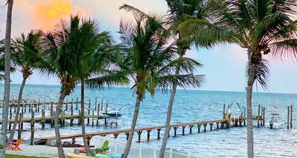 Sanctuary in Paradise presentado en H G T V